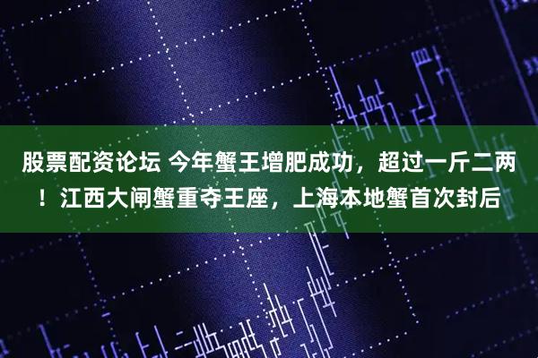 股票配资论坛 今年蟹王增肥成功，超过一斤二两！江西大闸蟹重夺王座，上海本地蟹首次封后