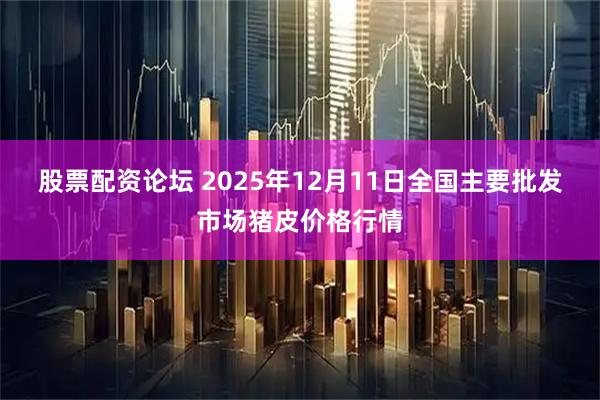 股票配资论坛 2025年12月11日全国主要批发市场猪皮价格行情
