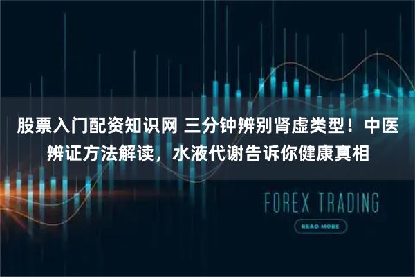 股票入门配资知识网 三分钟辨别肾虚类型！中医辨证方法解读，水液代谢告诉你健康真相