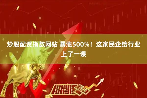 炒股配资指数网站 暴涨500%!这家民企给行业上了一课