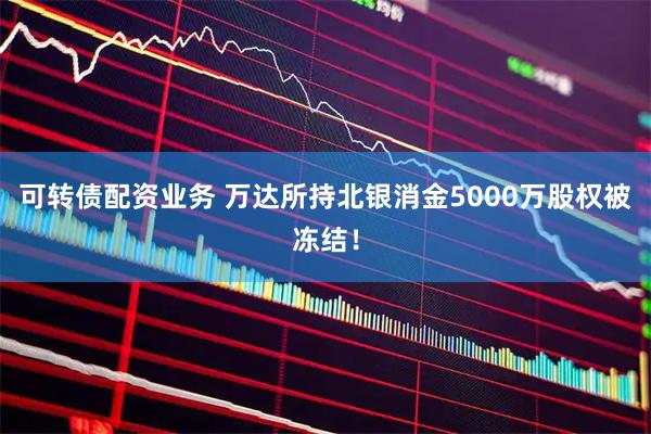 可转债配资业务 万达所持北银消金5000万股权被冻结！