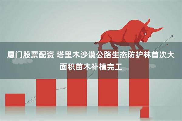 厦门股票配资 塔里木沙漠公路生态防护林首次大面积苗木补植完工