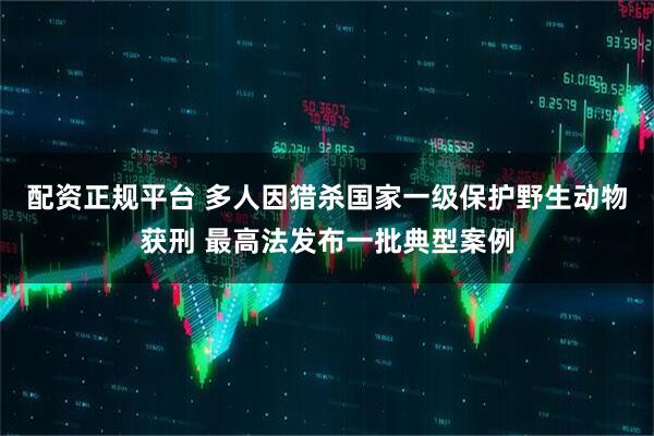 配资正规平台 多人因猎杀国家一级保护野生动物获刑 最高法发布一批典型案例